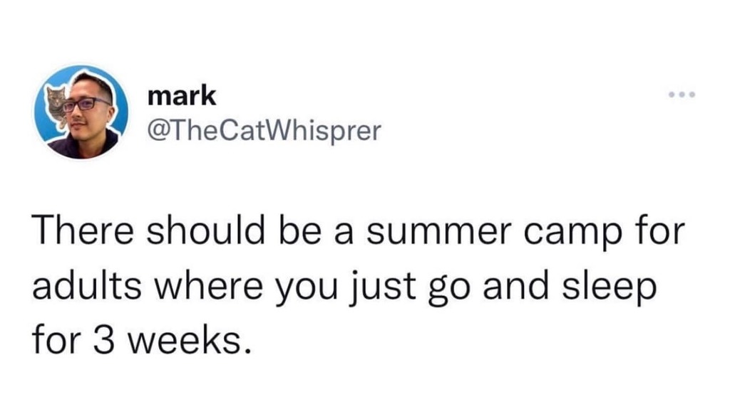 There should be a summer camp for adults where you just go and sleep for 3 weeks.