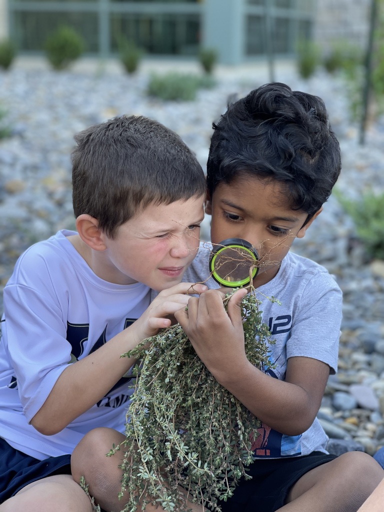 Vaughn Elementary Students Learning Outdoors
