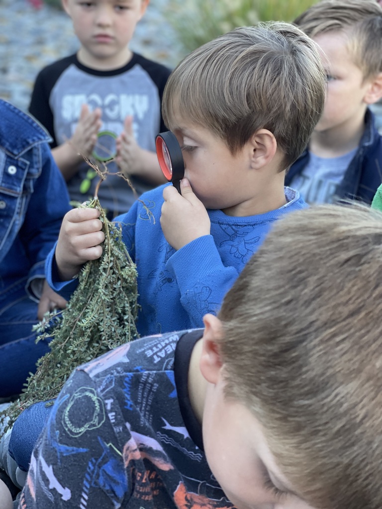 Vaughn Elementary Students Learning Outdoors