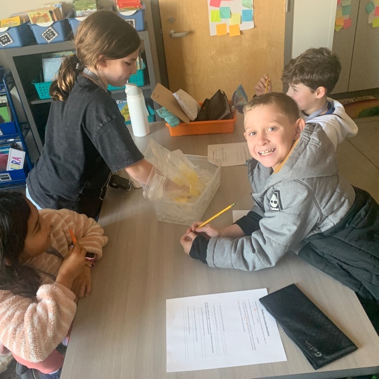 3rd grade fun with science 