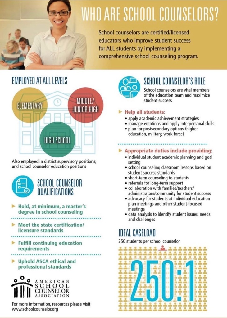 who are school counselors 