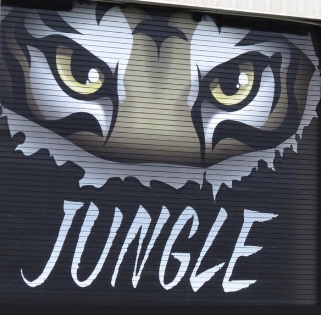 BHS Jungle Athletics Door